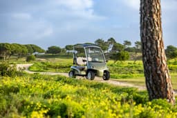 garia-via-2-seater-00007.jpg